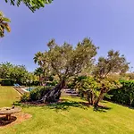 Mimas By Sealand * 波连斯萨